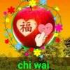 chi wai的头像