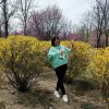青苹果的头像