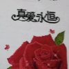 TTHXQ的头像