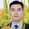 书香的头像