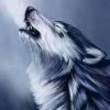 情殇（狼）的头像