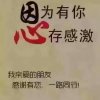 诚信奶茶哥的头像