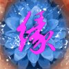 兰花香的头像
