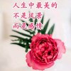流时的青春不再回的头像