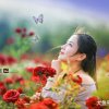 芦花`似雪的头像