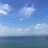 阳光灿烂的头像