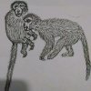 缘麗S望月S的头像