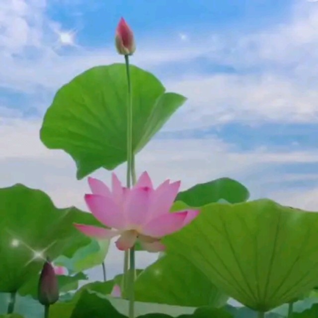 演唱歌手美好一生的头像