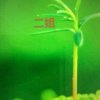 李家二姐《停币》的头像