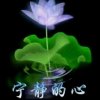 宁静的心的头像