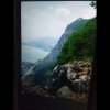 你我皆凡人，生在人世间的头像