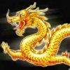 情，今非昔比的头像
