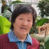 李秀芹的头像