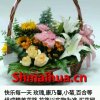 追梦的头像
