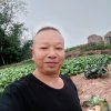 卓安全的头像