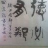 晴空万里的头像