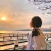 燕子yz的头像