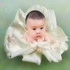豆豆(撼动)的头像