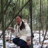 云中漫步的头像