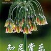 大奎的头像