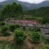 青山外园的头像