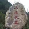 蝴蝶为花醉的头像
