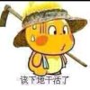 风雪夜归人的头像