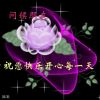 开心每一天的头像