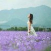 欣蕊的头像
