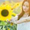 向日葵的头像