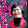 一生平安的头像