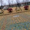 海心若止水(有事要忙，暂离)的头像