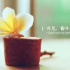 的头像