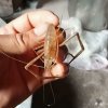 过去的事的头像