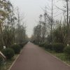 健康，平安的头像