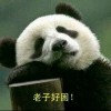 无奈的人生的头像