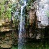 永远幸福的头像