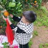 人生如戏的头像