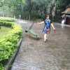 梅花香自苦寒来的头像