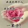 零度冰的头像