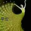 顺其自然的头像