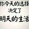 红叶的头像