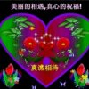 缘的头像