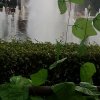 紫色云彩的头像