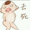 高子涵的头像