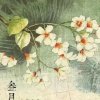 。宏Chen的头像