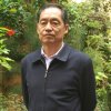 常青树的头像