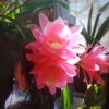 李桂琴(停币)的头像