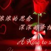辰龍的头像
