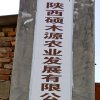 无路可走的头像